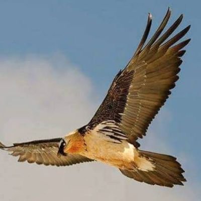 AbbasSltany6182's profile picture. درود و مهر بر ایران و ایرانی❤️❤️❤️