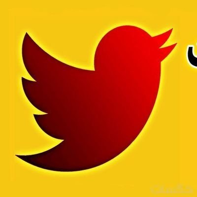 Raoji43's profile picture. 