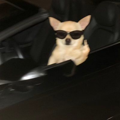 sipz12o's profile picture. financial advisor at @PnLjunkies