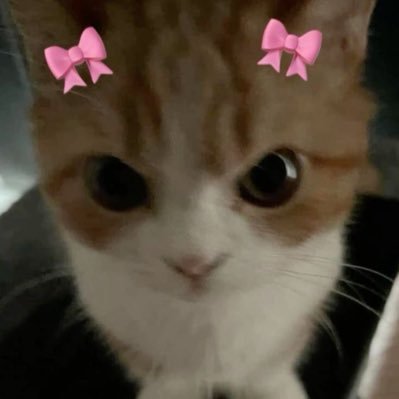 itzfatosh's profile picture. ⵣ was auch immer @privatefatosh