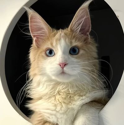 jamie4548's profile picture. 20♈