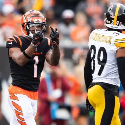 Opiniões sinceras e raramente contraditórias sobre NFL, Cincinnati Bengals e esportes americanos | entusiasta de Demetrius Knight Jr. | @tataranetopapb2