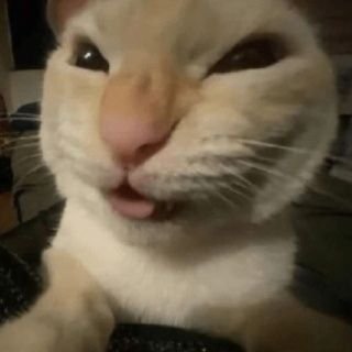 asaltaoxxos_'s profile picture. 