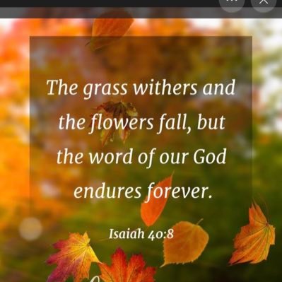 Nicole80262893's profile picture. Read the Bible📕Talk 2 God, in Jesus’ name🙏Obey the lead of the Holy Spirit🕊️Also:@funlovingNicole @Nicole51449695 Freedom In Christ✝️No DMs-unless I know u