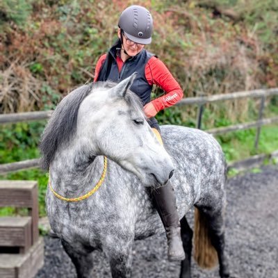*Summer* #hearthorse 06/2011 -08/2021 forever in my heart 🌈🐴🏇💖 **Dreamer** #Bodminmoorpony #heartpony There is no place for bullying on my page #bekind