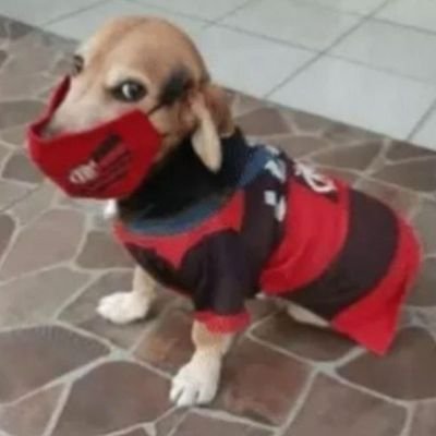 vick_bluelover's profile picture. ❤️🖤