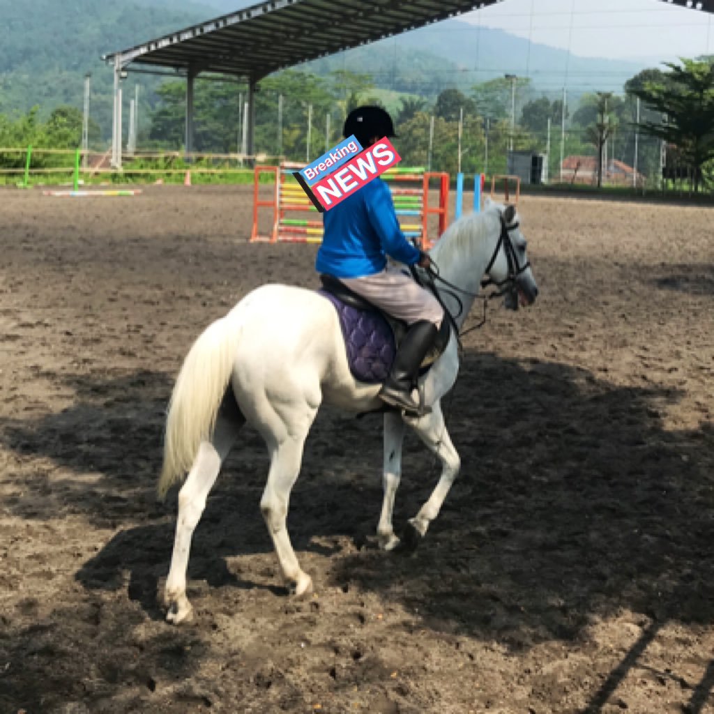 SelfishHound's profile picture. Vaya con Dios 🍻