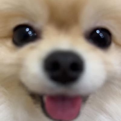 isabel_kyl62188's profile picture. 