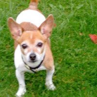 Pat☘️🇮🇪☘️ (@pb6413104) 's Twitter Profile Photo