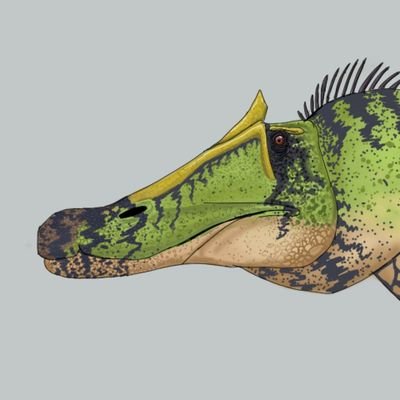 🇧🇷 14years
Enthusiast to paleoartist.
(commissions closed)
My YouTube:
https://t.co/8bEEzTN6kQ