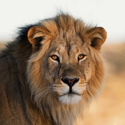 V0913v0307's profile picture. 