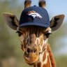 TheLawGiraffe's profile picture. Another lawyer who sold his soul to BigLaw. Being a sports fan somehow causes me more trauma. Southern Miss, UF and Denver Broncos 🏈⚾️