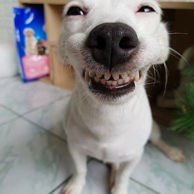 DaEnderGuy's profile picture. Nothing here to see, just another account that shills