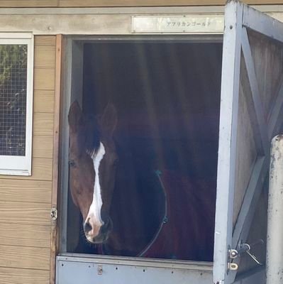 roulette_lucky's profile picture. 公営競技.スポーツ