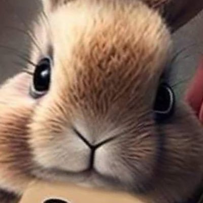 Sannu36394311's profile picture. Nur hier für politischen Online-Aktivismus…#Weedmob #Habeck4Kanzler
