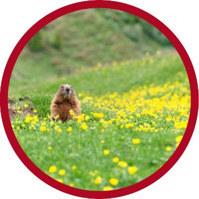 RJafari1999's profile picture. @base
base.eth
