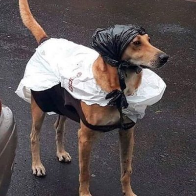 nokestergod's profile picture. En la vida siempre existen dos liderazgos, existen balbin y peron, maradona y messi, y despues existen mercedes y scania