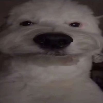 Ranita_xD0's profile picture. Jelou soy Zoé