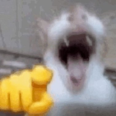 diishonored__'s profile picture. I just like the Bengals