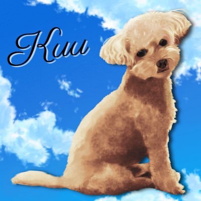 2024年4月25日に小さな体の食いしん坊「空ちゃん」🐶急逝🌈(2014.4.27〜2024.4.25) #虹組お迎え隊 NO34 #虹組保護者会 ちょっと大きな女の子はペコ🐶(2017.9.13〜)