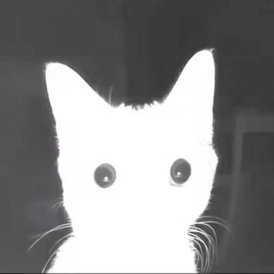 • ele/dele | bio e vampiros
// gosto de: BL, Mystic Messenger, Alien Stage e Honkai Star Rail