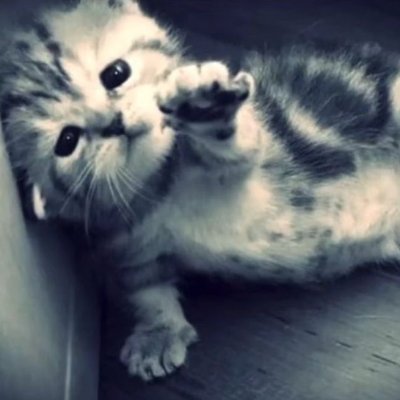 Tobi_jeje's profile picture. p