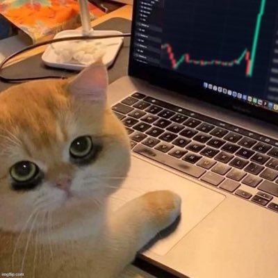 Heyanna300k's profile picture. 방구석 암호화폐 주식 애호가