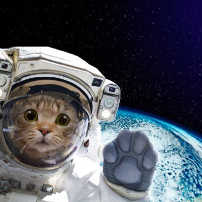 AstroKoko1's profile picture. Tiktok Content Creator | Astronomy & Meteorology