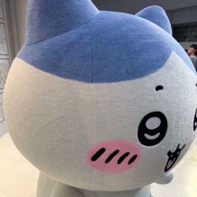 ハチワレが大好きです。羊毛フェルト製作を趣味程度にしています。仕事をしながらTOEICの勉強もしています。皆様よろしくお願いします🙏 インスタはhttps://t.co/crXXyfMyqt