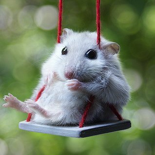 TommyTimbertoes's profile picture. 67, Music, Ham radio, Astronomy, Gardening, N.Y. Mets, my niece, The MonaLisa Twins. Now on Bluesky, same username! F**K TRUMP and Musk. F**K crypto.