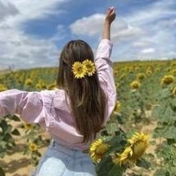 Sorhoc166072's profile picture. 