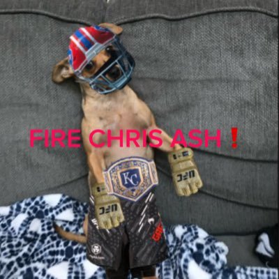 Usefulwalnut's profile picture. alt is @Walnu2t 🗣️🗣️🗣️ Gaethje for President 2028💯💯💯 FIRE CHRIS ASH 🔥🔥🔥