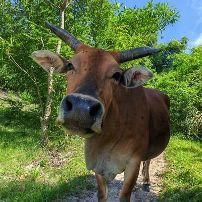 GuoYB77's profile picture.