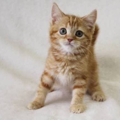 ___1211021's profile picture. 