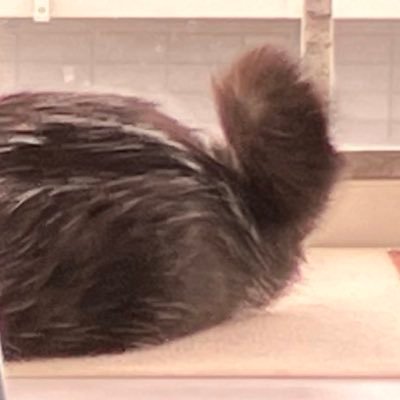 u__nocha's profile picture. ライティングやデザインなどなど。三沢→八戸→仙台 ギャル生まれ陰キャ育ち。作った作品はギャラリーソノツモリとACイラストへhttps://t.co/XApfBq6jJ7