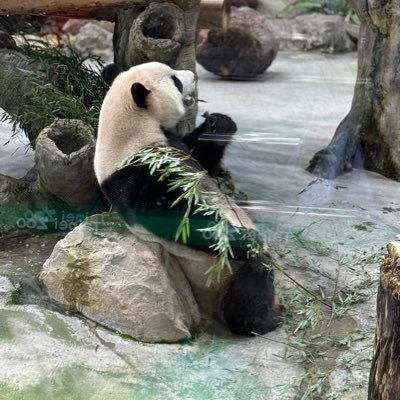HeiLa79180's profile picture. 45+以上熟男/已婚熟男人夫的性玩具；24小時待命/隨時約隨時幹/歡淫光臨；Fuck for daddy/I’m your sluty cunt❤️