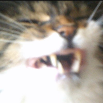 アニメーターです。今はお仕事のご依頼をお受けできないかもしれません。依頼はDMまたはメールにて gobble877@gmail.com。EN, JP OK!