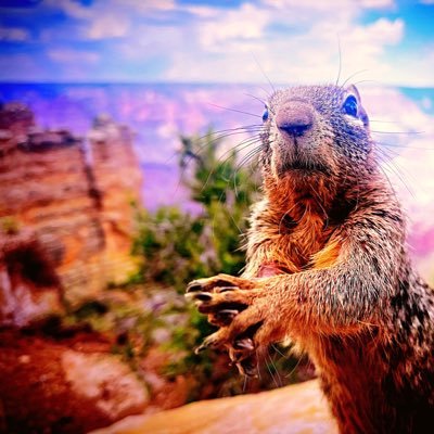 ryanscomac's profile picture. StL sports supporter, #AllforCITY STH, SEMO resident. Small town life is the best life.