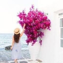 Cuilous34674's profile picture. 