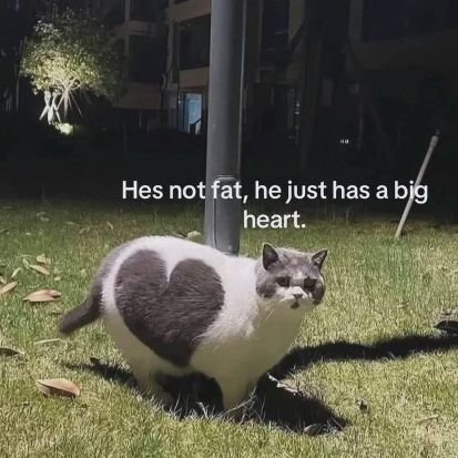 frapchin's profile picture. cipa's space #nyambatdikit 🫵🏼