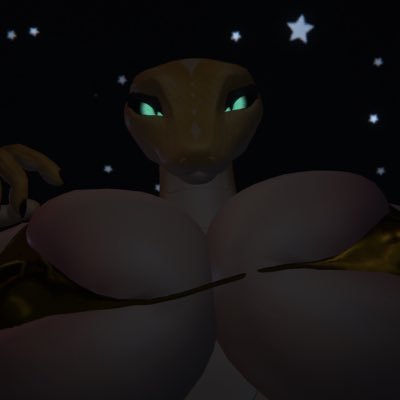 18+ Minors DNI || lewd vrc pics n thass abt it :33 || he/him