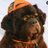 therealdcut's profile image