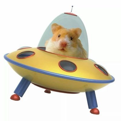 carboxila's profile picture. | tentando me formar na faculdade enquanto faço tweets infestados de erros gramaticais | #studytwt #collegetwt