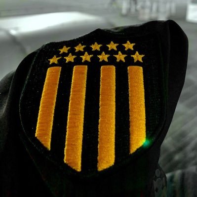 🚧 hincha de Peñarol como toda persona de bien 👊🏼💛🖤 alérgico a las plumas 🐔