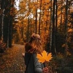 Ausrarkal8586's profile picture. 