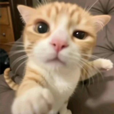 44_honeyy's profile picture. 