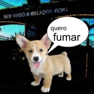 rnpipo's profile picture. Filosofando a filosofia da minha cabeça. 👎🏼