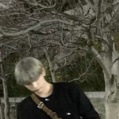 zasyapp's profile picture. 