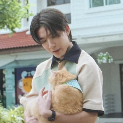 🐾💖 ZB1 | FK | YW✧ fic brain, cat soul, eye behind the lens 📸✧