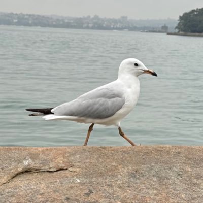 kunkun1558's profile picture. 